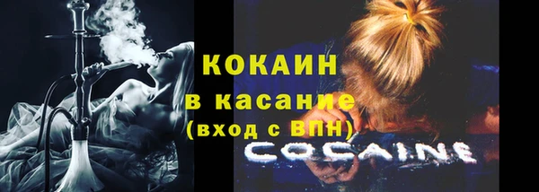 сатива Строитель