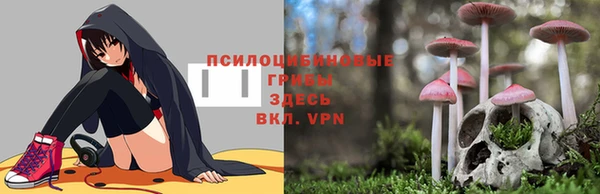 соль ск Ступино