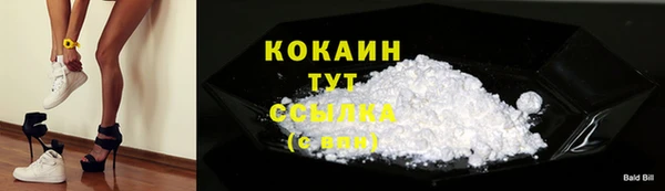 сатива Строитель