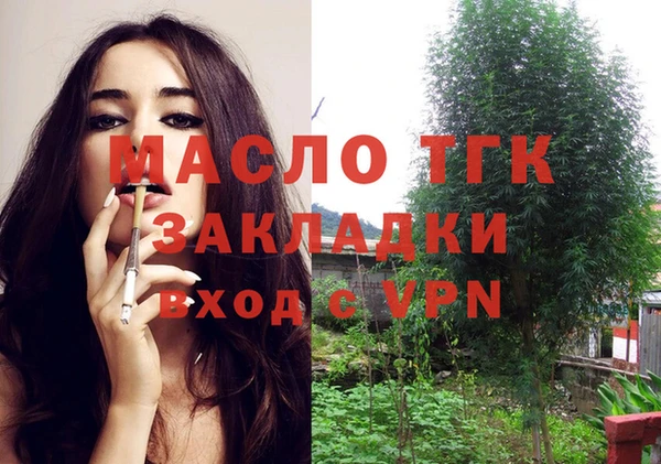сатива Строитель