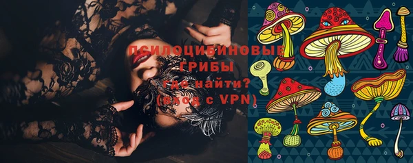 соль ск Ступино